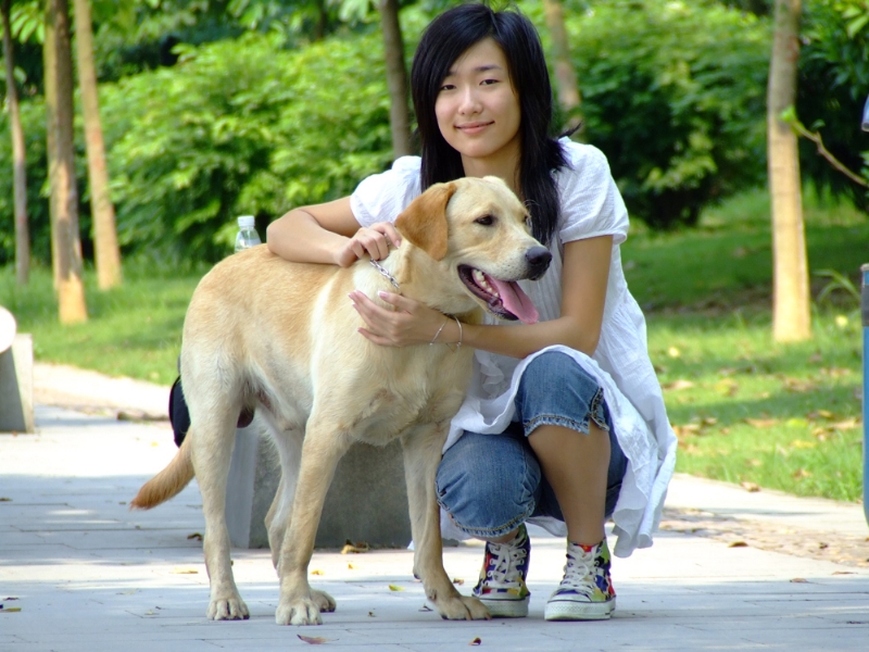 风中的绿叶的第一张照片--芜湖相亲服务中心