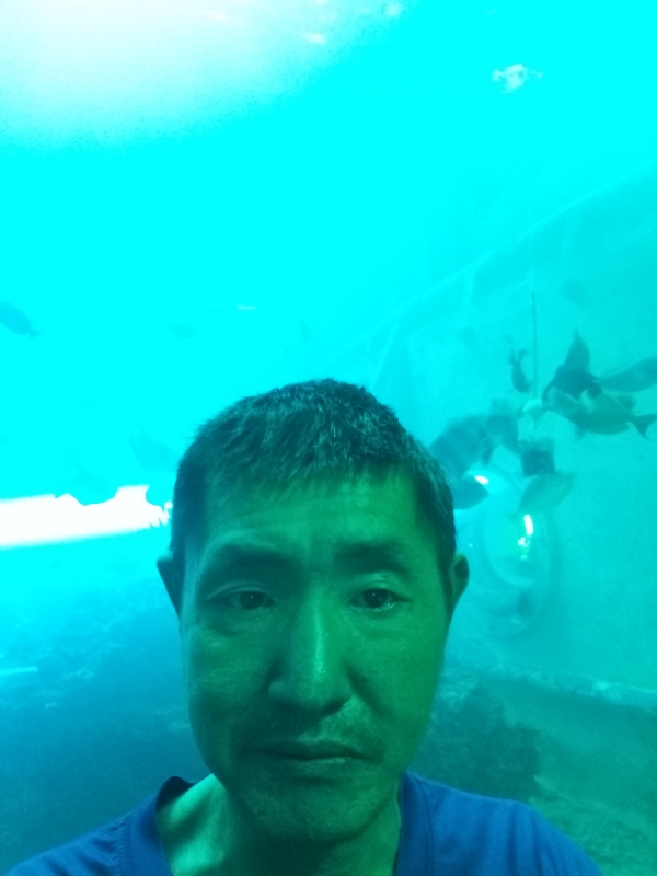 陸戰隊的第一张照片--芜湖相亲服务中心