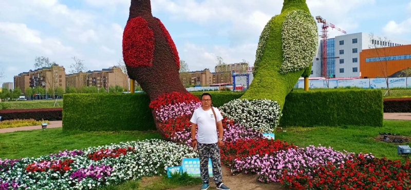 尘埃的第一张照片--芜湖相亲服务中心