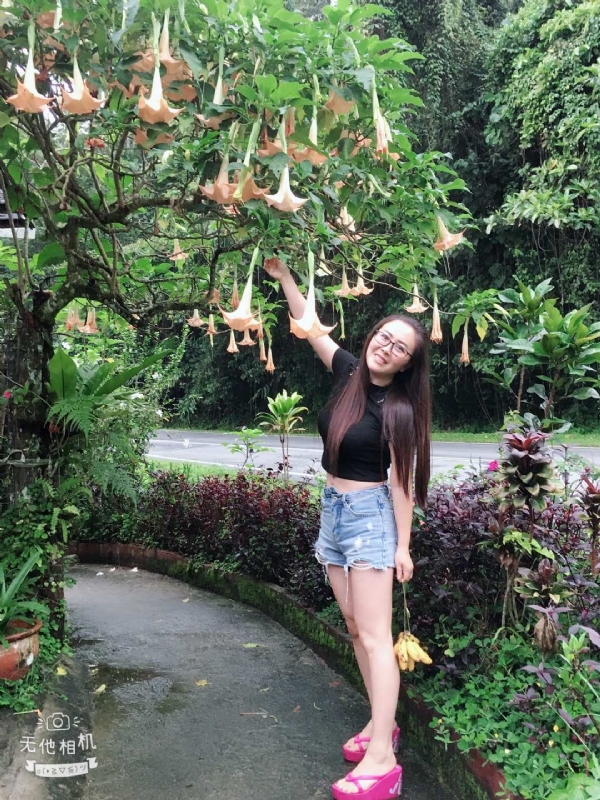 离异单身无子的第二张照片--芜湖相亲服务中心