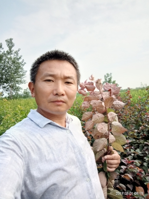 孩子爸的第二张照片--芜湖相亲服务中心