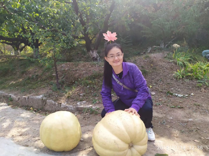 海绵宝宝的第一张照片--芜湖相亲服务中心