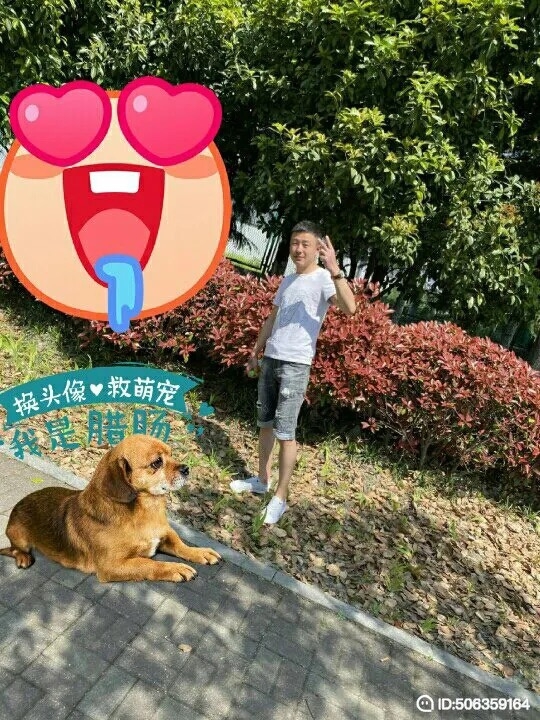 我若不坚强谁替我勇敢的第一张照片--芜湖相亲服务中心