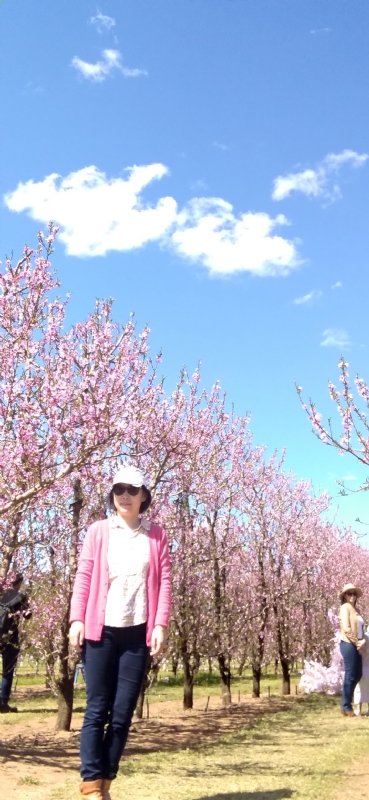 Grace的第二张照片--芜湖相亲服务中心