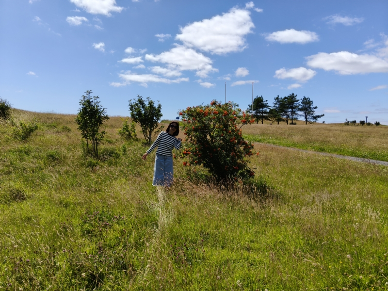 秋蝉的第一张照片--芜湖相亲服务中心