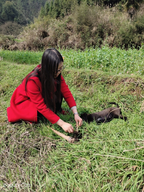 下一个春和秋的第一张照片--芜湖相亲服务中心