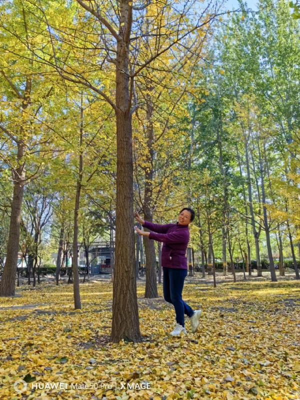 Shirley的第三张照片--芜湖相亲服务中心