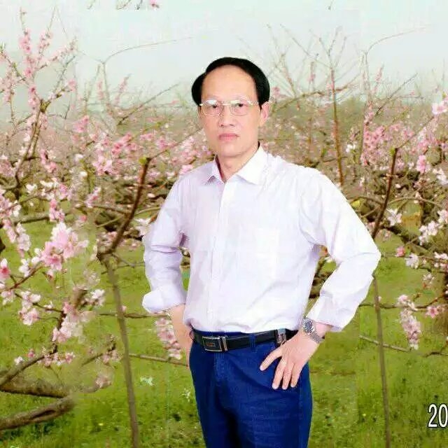 枫叶的第一张照片--芜湖相亲服务中心