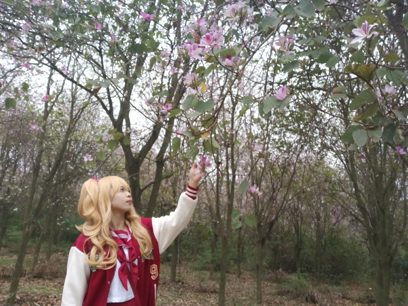 暮秋的第二张照片--芜湖相亲服务中心