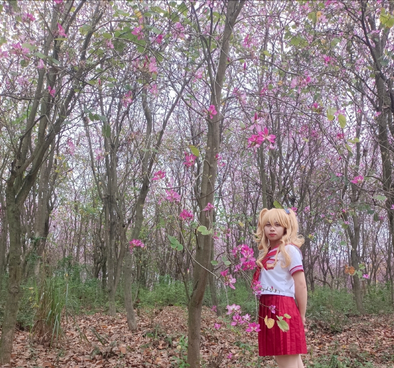 暮秋的第三张照片--芜湖相亲服务中心