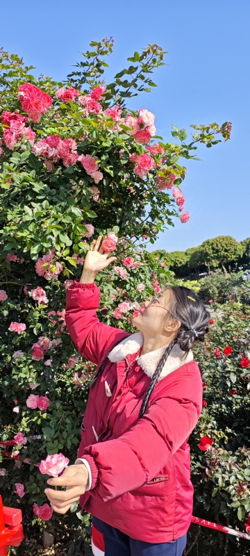 狗狗的第一张照片--芜湖相亲服务中心